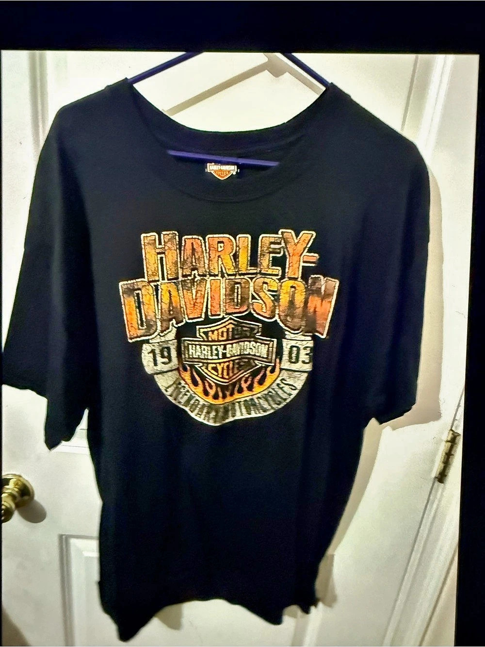 Harley-Davidson Champion Harley-Davidson Roswell New Mexico UFO T-Shirt Champion